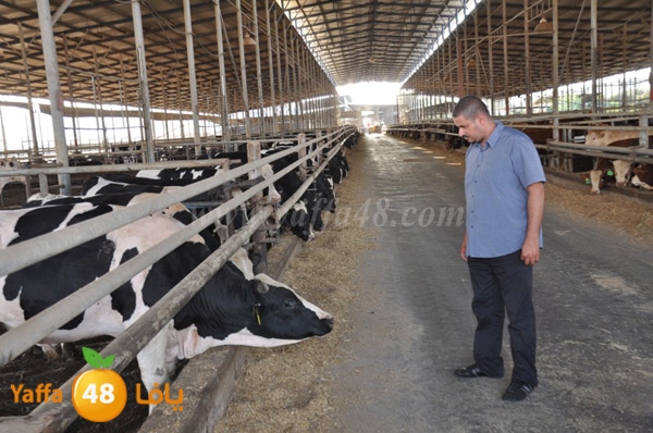 3ojojl shamal (16).JPG